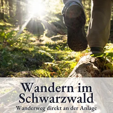 Apartment Relax-apartment 164 Mit Indoor-pool, Sauna, Kueche Und Netflix